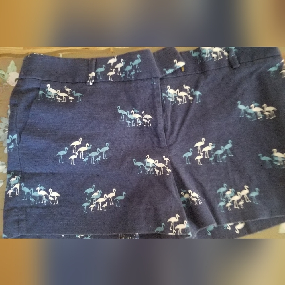Women's Loft flamingo size 14 Navy Shorts